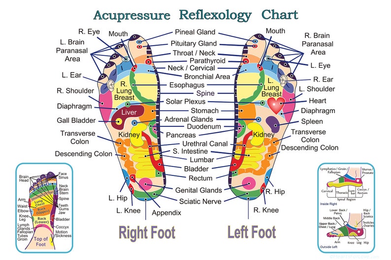 Acupressure and Reflexology Chart for the feet. Professional image 1