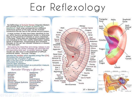 Reflexology For Depression Chart