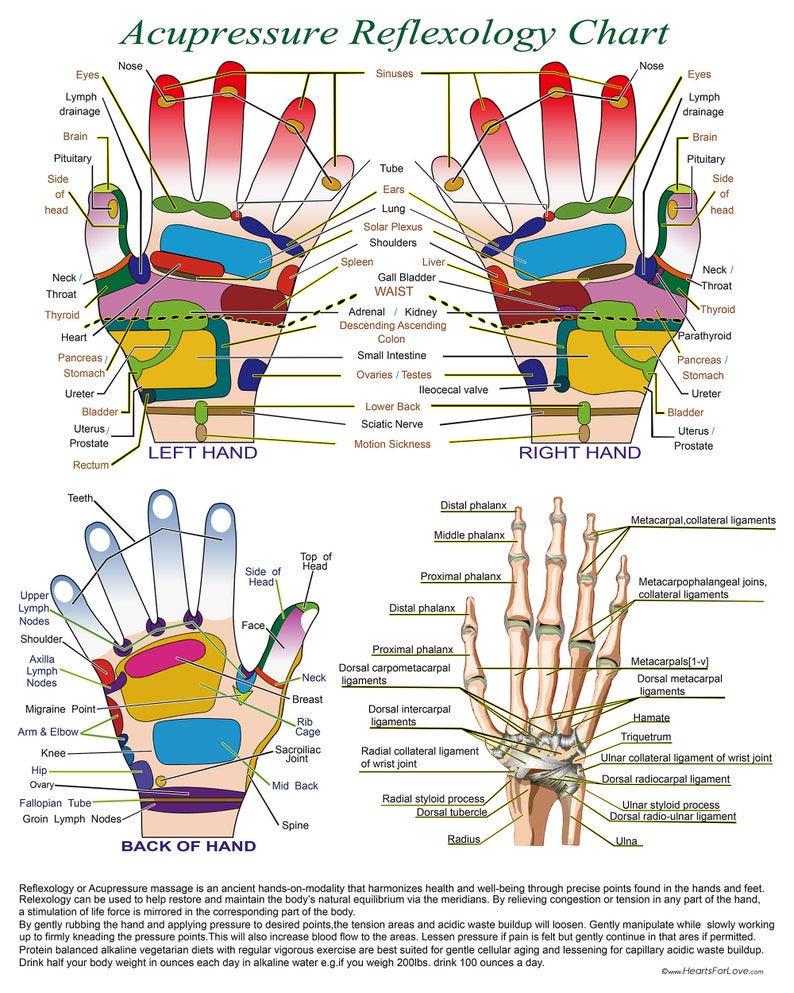 Acupressure Reflexology Chart With Precise Hand Diagrams. Professional Print. image 1