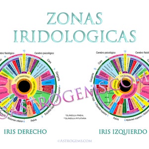 Iridology Zones, A Study Chart In Spanish. Zonas De Iridología, Una Carta De Estudio. Quality Photographic Paper. Medical office wall art.