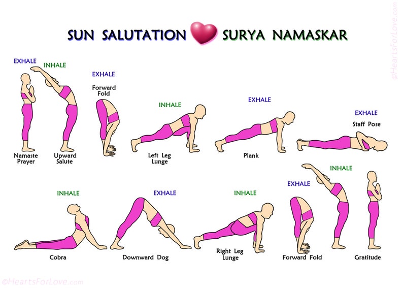 The 12 Steps of Surya Namaskar or Sun Salutation Yoga Etsy