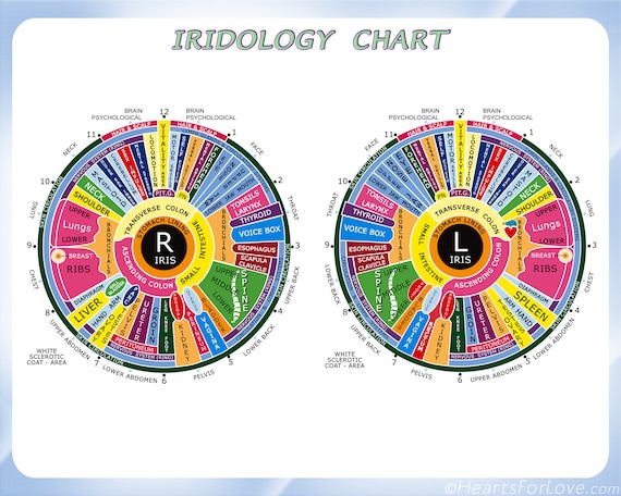 Iridology Diagnosis Chart