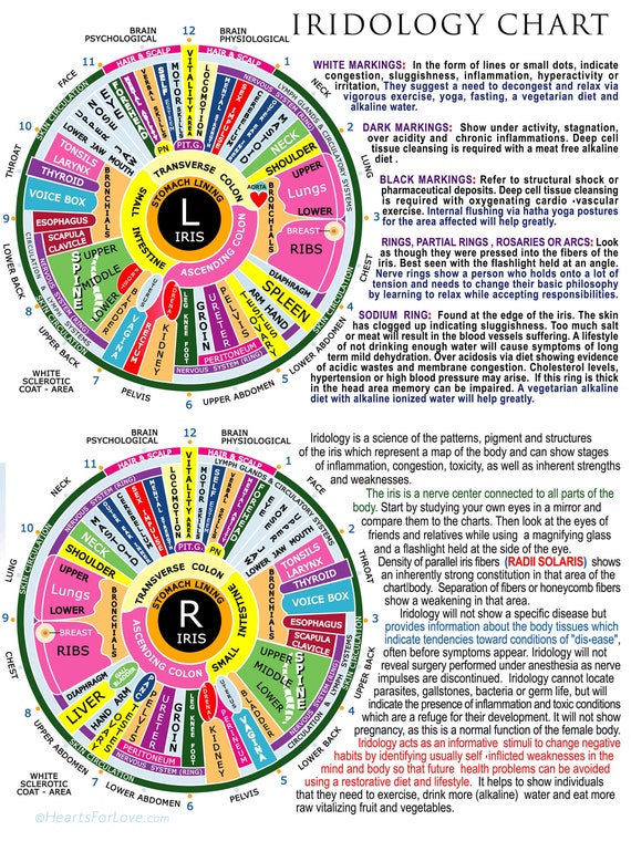 Iridology Chart How To Read