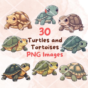 May include: An illustration featuring seven cartoon turtles and tortoises in various colors, including green, brown, and tan. The image includes the text "30 Turtles and Tortoises PNG Images" in red and black.