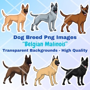 Belgian Malinois Dog Clipart Bundle, 8 PNG Images, Transparent Background, Cartoon Digital Art Stickers, Breed Vector Illustration Drawings
