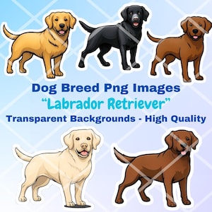 Labrador Retriever Dog Clipart Bundle, 5 PNG Images, Transparent Background, Cartoon Digital Art Stickers, Breed Vector Illustrations