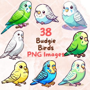 Kawaii süße Wellensittich Vögel Bundle, 38 PNG Clipart, transparenten Hintergrund, süße Cartoon Haustier Tiere Digital Art Sticker Bilder, hohe Qualität