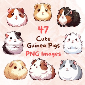 Bundle kawaii mignons de cochons d'Inde, 47 images clipart PNG, fond Transparent, images autocollantes d'art numérique dessin animé mignon animaux de compagnie, haute qualité