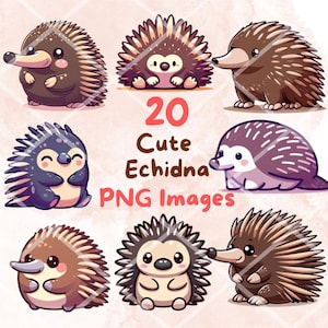 Kawaii Cute Echidna Clipart Bundle, 20 PNG clipart, Przezroczyste tło, Cartoon Australia Animal Digital Art Sticker Illustrations