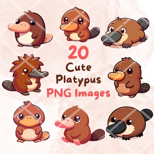 Kawaii Cute Platypus Bundle, 20 PNG clipart, Przezroczyste tło, Cartoon Australia Animal Digital Art Sticker Images, Wysoka jakość