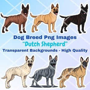 Dutch Shepherd Dog Clipart Bundle, 12 PNG Images, Transparent Background, Cartoon Digital Art Stickers, Breed Vector Illustration Drawings