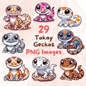Kawaii Tokay Gecko Clipart Bundle, 29 PNG Cliparts, transparenter Hintergrund, Cartoon Reptil Digital Art Sticker Illustrationen