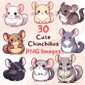 Kawaii Cute Chinchilla Bundle, 30pcs PNG clipart, Transparent Background, Cute Cartoon Digital Art Sticker Images, High quality