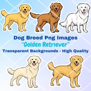 Golden Retriever Dog Clipart Bundle, 5 PNG Images, Transparent Background, Cartoon Digital Art Stickers, Breed Illustration Drawings