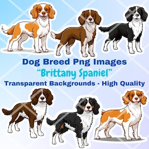 Brittany Spaniel Dog Clipart Bundle, 9 PNG Images, Transparent Background, Cute Cartoon Digital Art Stickers, Breed Vector Illustrations