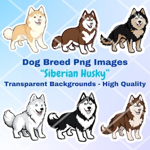 Siberian Husky Dog Clipart Bundle, 10 PNG Images, Transparent Background, Cartoon Digital Art Stickers, Breed Vector Illustration Drawings