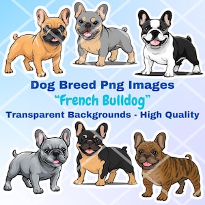 Pacchetto di clipart di bulldog francese, 15 immagini PNG, sfondo trasparente, adesivi di arte digitale dei cartoni animati, disegni di illustrazioni vettoriali di razza