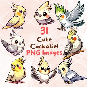 May include: A collection of 31 cute cockatiel PNG images. The illustrations feature various poses of the birds, with yellow, gray, and white plumage. The text "31 Cute Cockatiel PNG Images" is displayed in the center of the image.