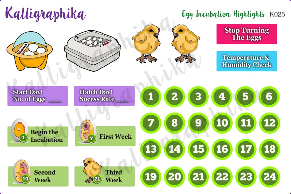 Egg Incubation Highlights Track Planner Calendar Stickers for Etsy