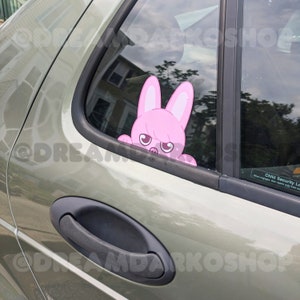 SKZOO Car Peeker Decals