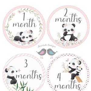 Stickers bébé jalon imprimables | Stickers mensuels bébé | Stickers bébé panda pour vêtements de safari | Téléchargement instantané