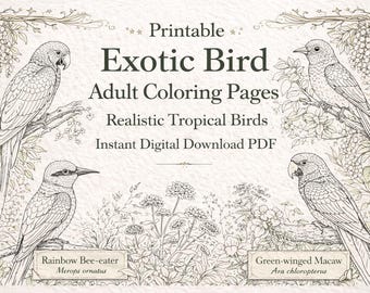 Avkopplande målarbilder med exotiska fåglar – Utskrivbara för stresslindring för vuxna