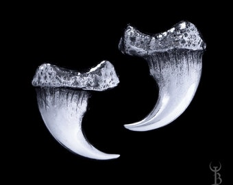May include: A pair of silver claw earrings, each with a detailed, textured surface. The claws are curved and pointed, resembling animal claws.