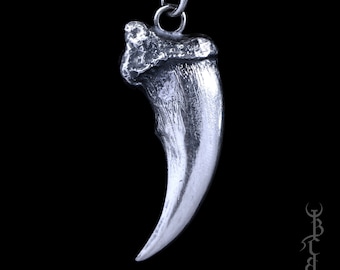 May include: A silver claw pendant necklace. The claw is detailed and realistic, with a textured surface. The necklace is on a silver chain.