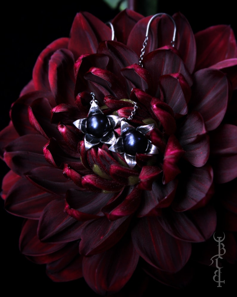 May include: A pair of silver earrings with a star-shaped design and black pearl accents. The earrings are displayed against a backdrop of a dark red flower.