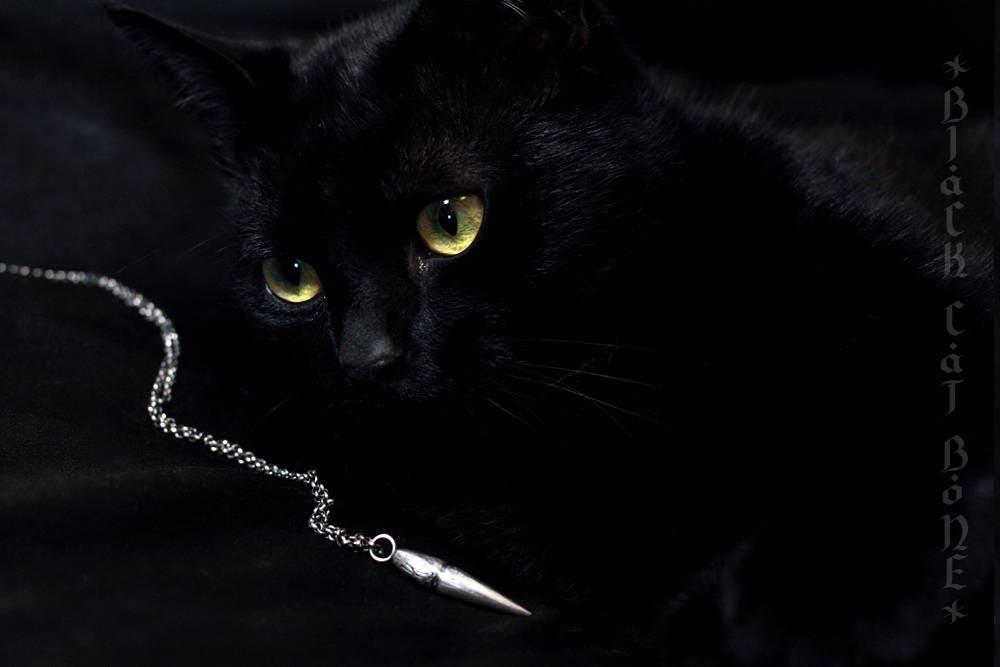 Black cat bone. Black Cat Bone - Black Cat Bone 2024. Cat with Black Eyes and Teeth. Black Cat Bones / here is a Knife.