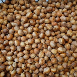 Op de afbeelding: Een close-up van een stapel hazelnoten. De noten zijn verschillende bruintinten, met een getextureerde schil. De afbeelding is goed belicht en toont de details van de noten.