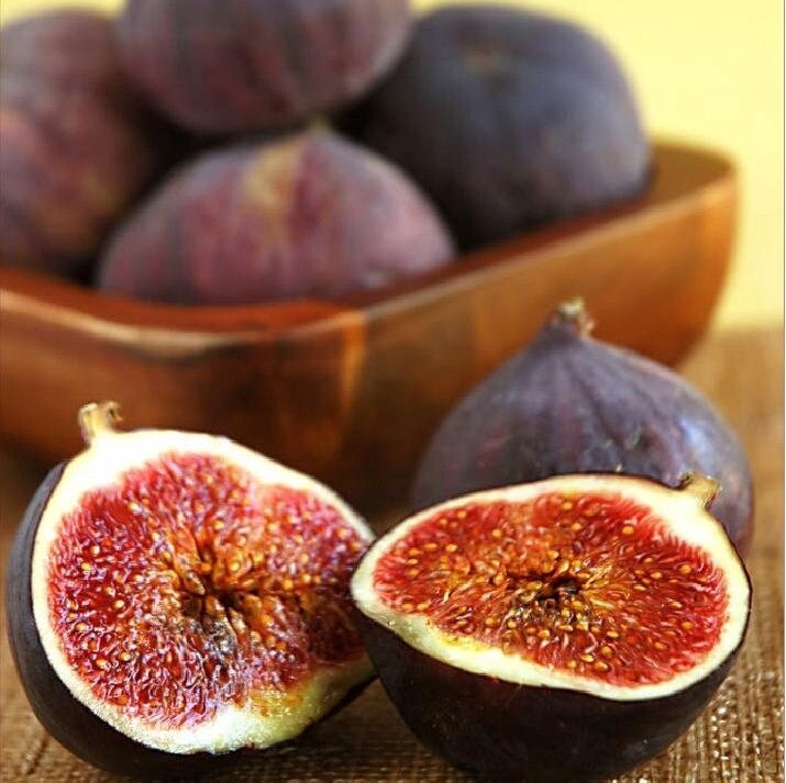 Black Madeira 果樹 Black Madeira ブラックマディラ の特徴・味・耐寒性と本物と偽物