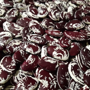Puede incluir: Primer plano de un montón de frijoles moteados de rojo y blanco. Los frijoles tienen forma de riñón y una apariencia moteada.