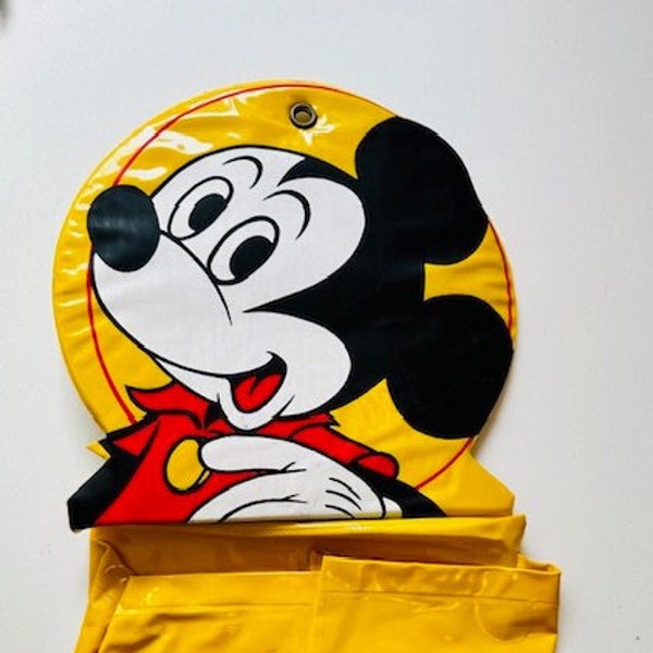 1970s Mickey Mouse Shoe Caddy