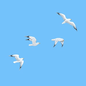 Set of 4 Wooden Painted Large Seagulls Birds, Nautical Beach & Coastal House Decor, Wall Installation, Hanging White Flying Bird Wall Art