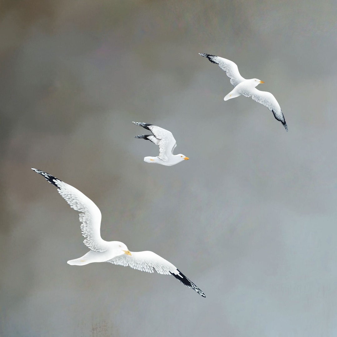 Ethereal Set of 3 Painted Wooden Seagulls in Flight Coastal & Nautical