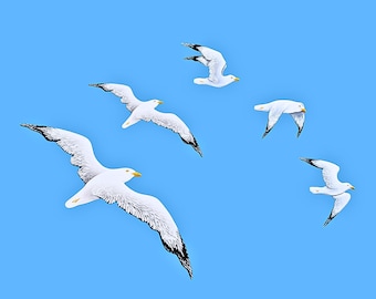 Handmade Wooden Seagulls Wall Art, Coastal Beach House Decor