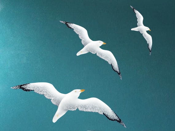 Migratory Bird Stickers - The Art of Ecology