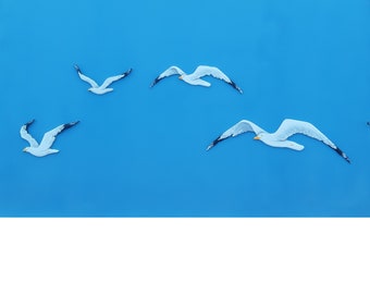Flying Seagull White Birds In Sky Crazy Dress Troser Sock For Men Women Botts Flying Seagull White Birds In Sky Crazy Dress Troser Sock For Men Women Botts