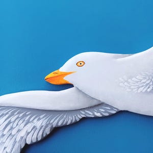 Detailed texture of a handmade wooden seagull – smooth painted surface and carved detail
