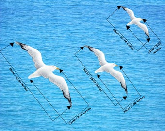 Déco Murale Bois Mouettes - Lot De 3 Oiseaux De Mer, Thème Nautique, Autocollants Muraux Avec Colle