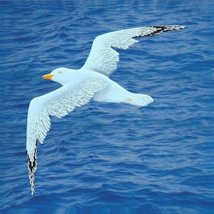 Hand-Carved Wooden Seagull Wall Art: Coastal Beach House Decor