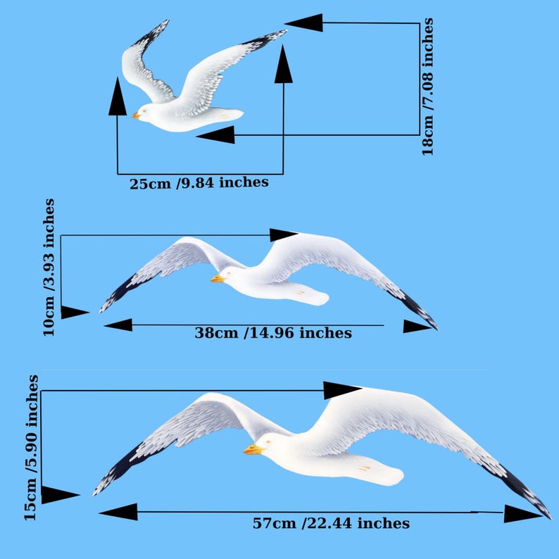 Wooden seagulls in flight showing three sizes – large 57 cm, medium 38 cm, small 25 cm – white finish on blue background.