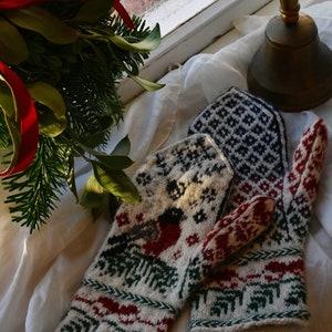 Winterbirds Mittens, Pdf Printable Pattern, Digital Pdf Pattern - Etsy