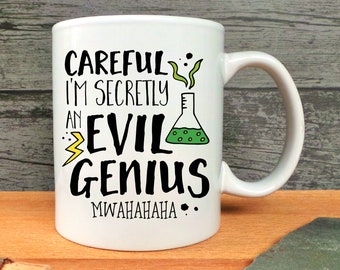 Careful I'm Secretly An Evil Genius Mug, Funny Water Bottle, Enamel Mug, Humour Mug, Gift For A Friend, Cheeky Child's Gift, Scientist Gift