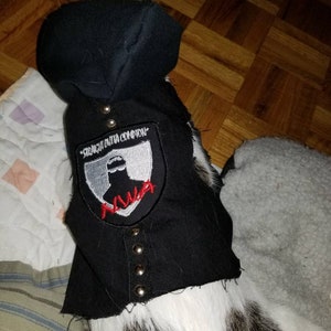 May include: Black pet hoodie with a hood and silver snap closures. The hoodie has a patch that says "Straight Outta Compton" with the NWA logo in red and white. The pet hoodie is on a cat with black and white fur.