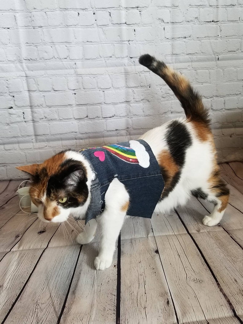 Denim Cat Vest wSequin /& Embroidered Patches Pride Rainbow Handmade Unique Novelty Feline Accessory Vest Repurposed Materials New Cat City