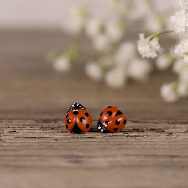 Ladybug Stud Earrings, Unique Earrings, Funny earrings, Miniature Earrings, Ladybird Earrings, Titanium Earrings, Good Luck Jewelry