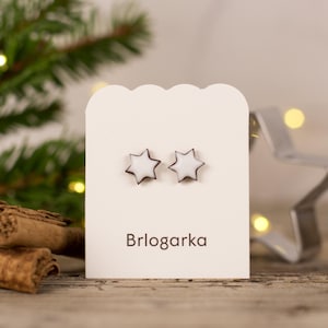 Zimtstern Keks Ohrstecker: Essen Schmuck, Titanium Stecker