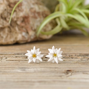 Boucles d'oreilles fleurs d'edelweiss Boucles d'oreilles fleurs blanches Boucles d'oreilles florales en argile image 1